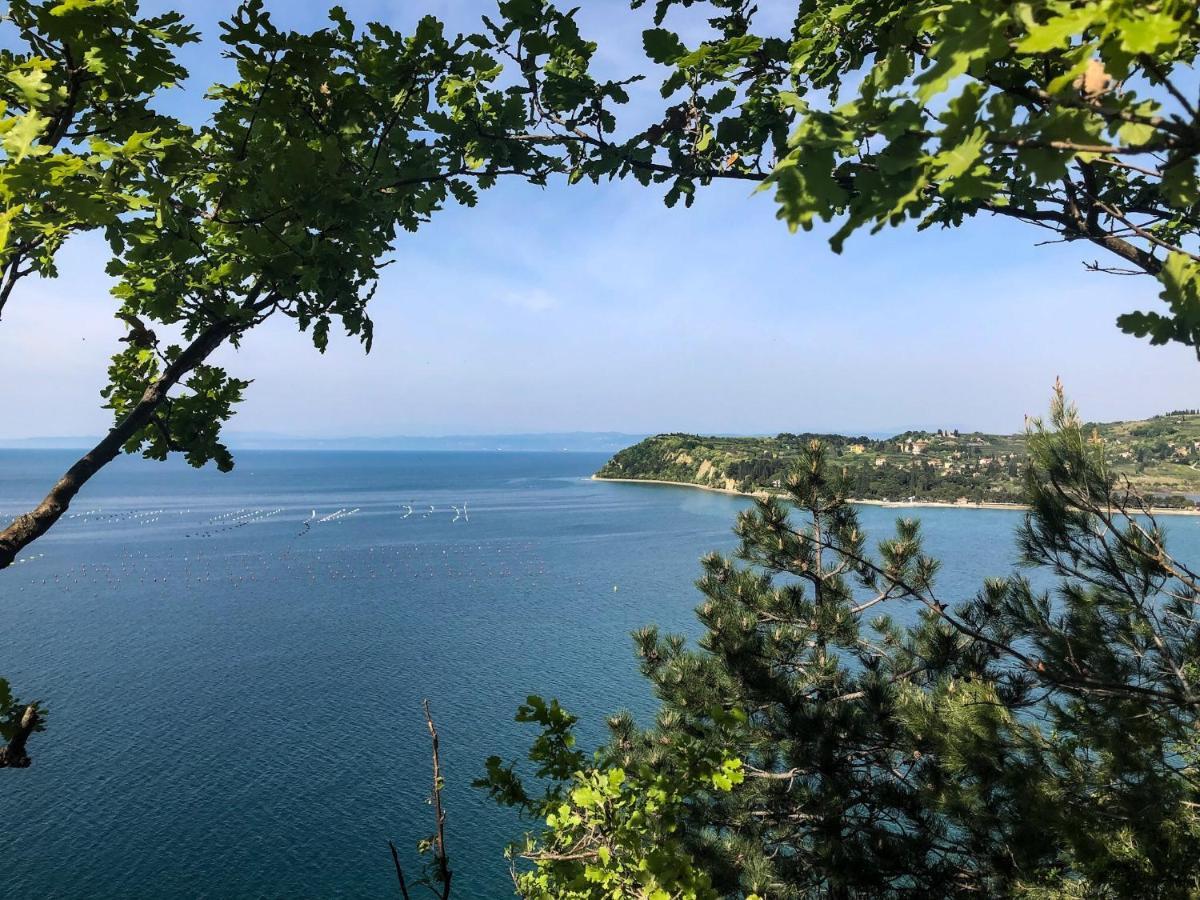 Apartment Vrenjak ปอร์โตรอซ ภายนอก รูปภาพ